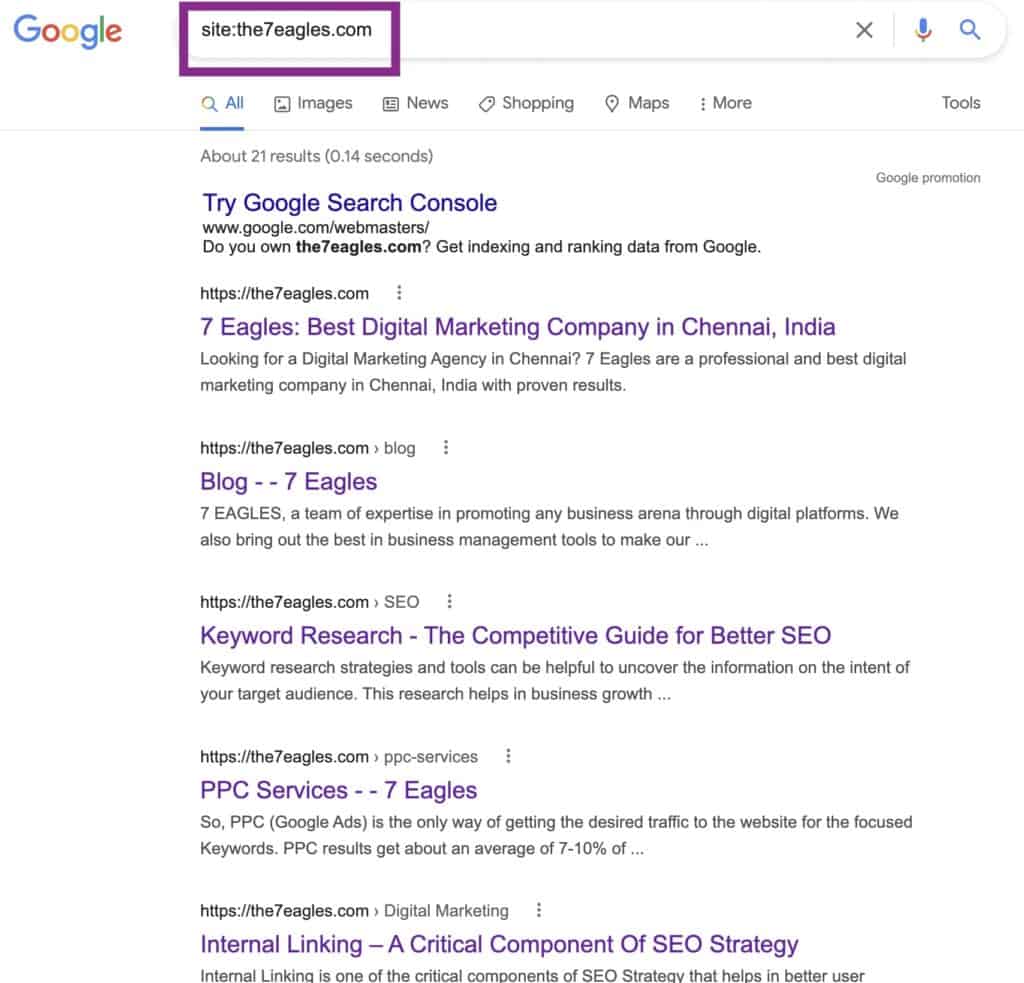 Search Engine Result Page Featuring Indexed URL of a website