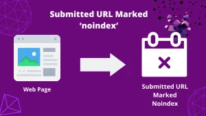 Submitted URL Marked 'noindex'