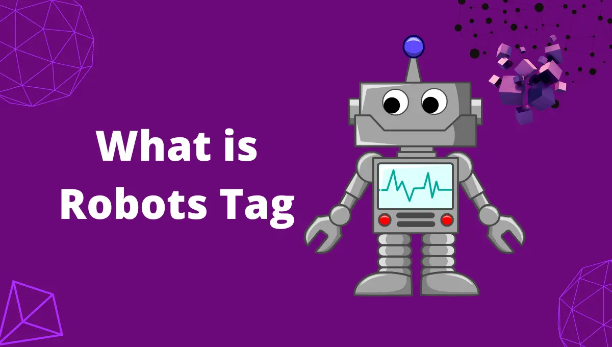What is Robots Meta Tag