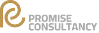 promise consultancy