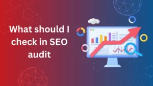 What should I check in SEO audit